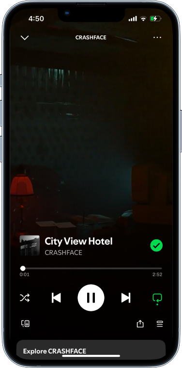 Spotify mockup